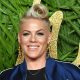 Pink rushes to the hospital for the gastric virus, cancelling Second Sydney show